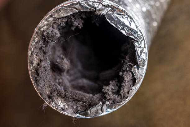 Best Air Duct Cleaning Near Me  in Holualoa, HI